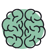 BRAIN-1