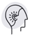 HEAD-1