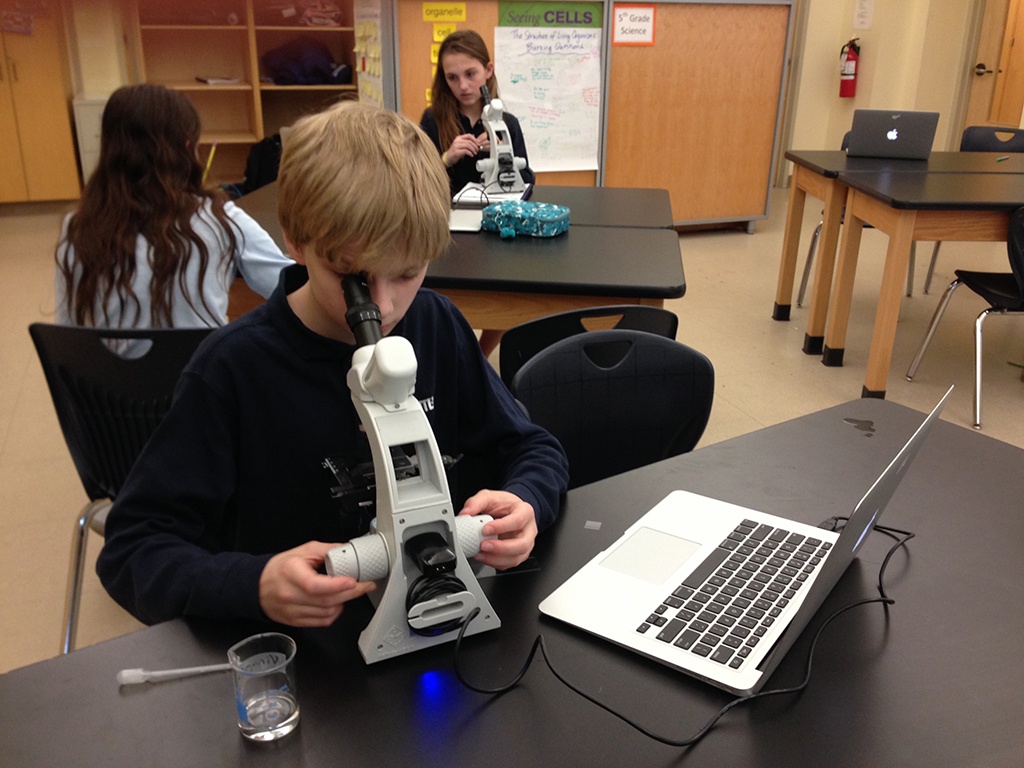 microscope.jpg